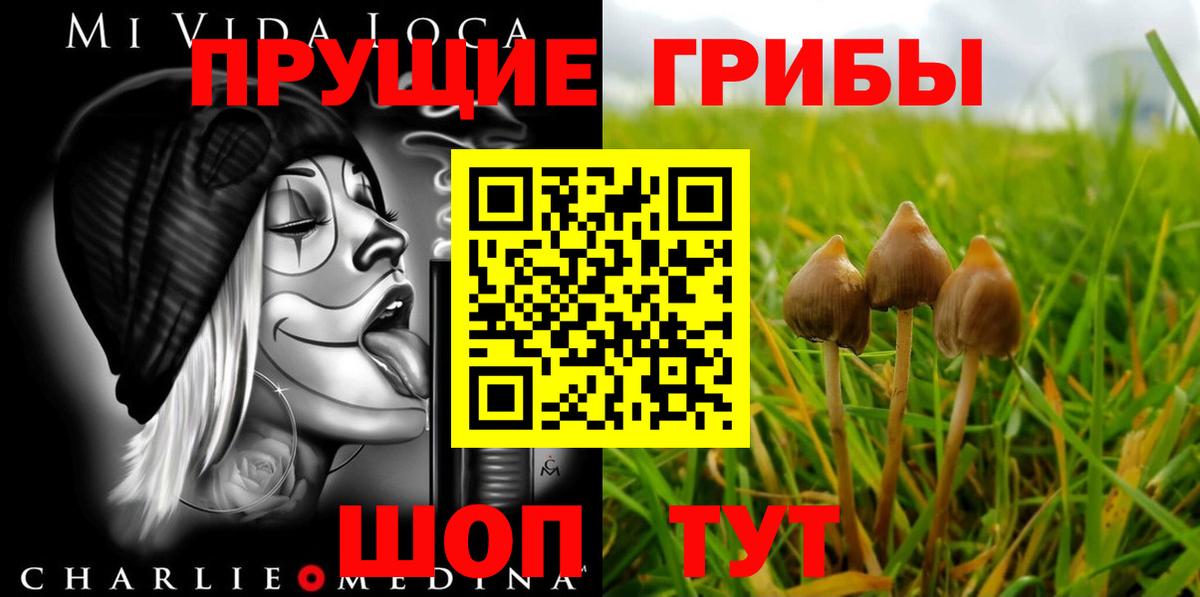 Псилоцибиновые грибы Psilocybine cubensis Волжский